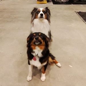 Meet your Posher, Miles